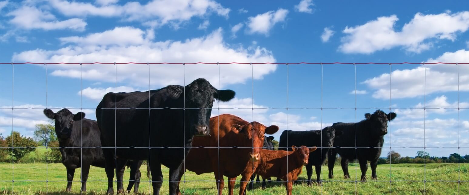 Сетка шарнирная фермерская (ограждение для скота) - фото с сайта АМК-Метиз